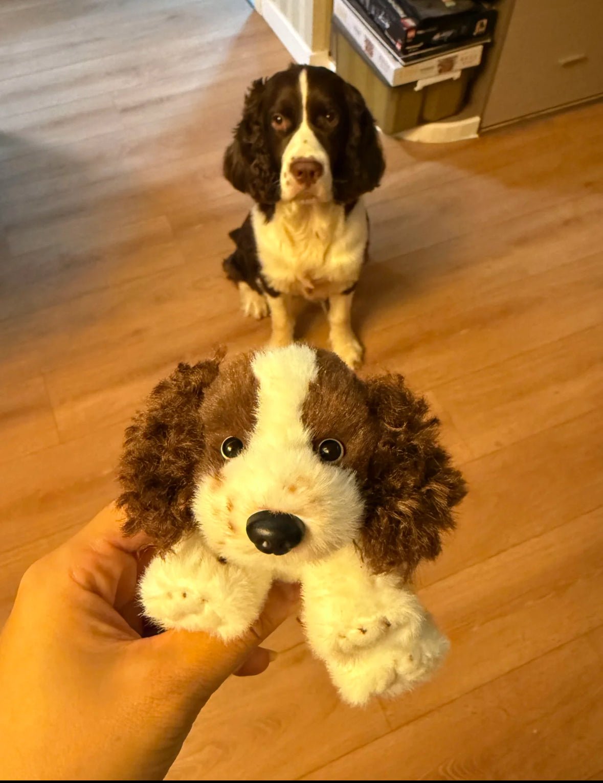 Springer Spaniel Plush Keychain Dog Bag Charm - Made by Frey