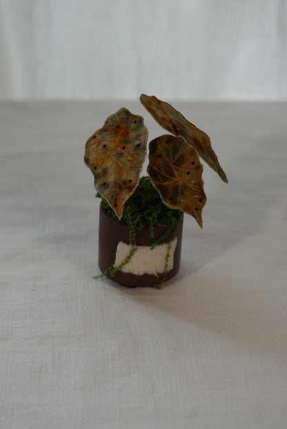Handmade Fabric Plant | Green by Default