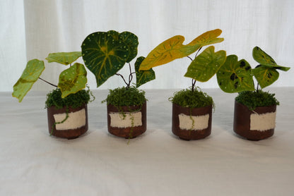 Handmade Fabric Plant | Green by Default - Made by Frey