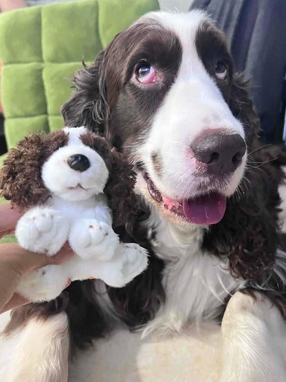 Springer Spaniel Plush Keychain Dog Bag Charm - Made by Frey